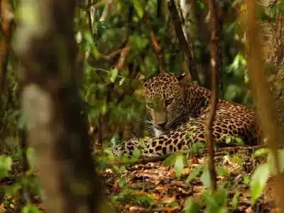 Hire a Taxi in Udaipur